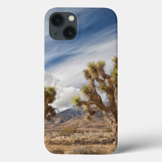 砂漠のジョシュア Case-Mate iPhoneケース (裏面)