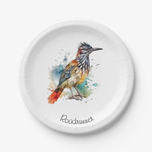 砂漠のスピリット、水の色のロードランナーカスタム、 ペーパープレート (正面)