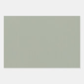 砂漠のセージ無地のカラー ラッピングペーパーシート (正面3)