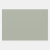 砂漠のセージ無地のカラー ラッピングペーパーシート (正面)
