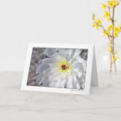 砂漠のチコリー カード (黄色い花)