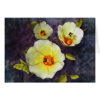 砂漠のハイビスカス