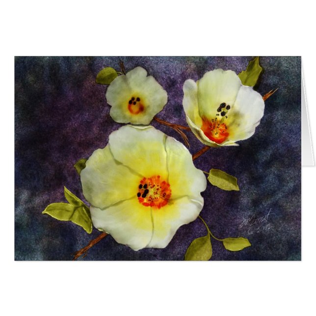 砂漠のハイビスカス (正面横)