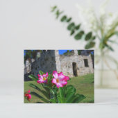 砂漠のバラシュガーミル,セントジョン,アメリカ.V.I. ポストカード (スタンド正面)