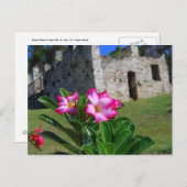 砂漠のバラシュガーミル,セントジョン,アメリカ.V.I. ポストカード (正面/裏面)