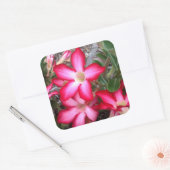 砂漠のバラシール スクエアシール (封筒)