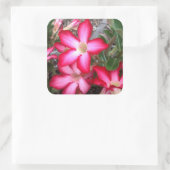 砂漠のバラシール スクエアシール (バッグ)