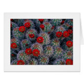 "砂漠のバラ園" (正面横)