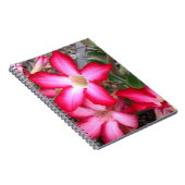 砂漠のバラ手帳 ノートブック (右側)