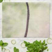 砂漠のバラ（ピンク） キッチンタオル (折り畳み)