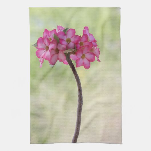 砂漠のバラ（ピンク） キッチンタオル (縦)