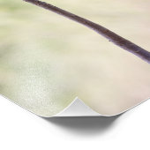 砂漠のバラ（ピンク） フォトプリント            (角)