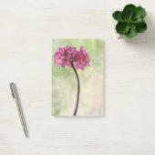 砂漠のバラ（ピンク） ポストイット (オフィス)