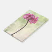 砂漠のバラ（ピンク） ポストイット (アングル)