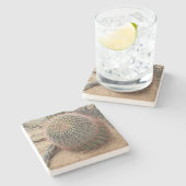 砂漠のバレルサボテン、アリゾナ州、平方コースター ストーンコースター (横)