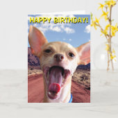 砂漠のバースデー・カードのチワワ カード (黄色い花)