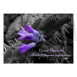 砂漠のヒアシンスの花とスタグホルンチョラサボテン