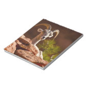 砂漠のビグーンの羊(Ovis canadensis nelsoni)。 ノートパッド (回転)