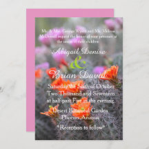 砂漠のピンクの背景の色