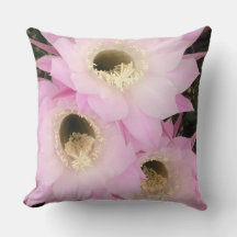 砂漠のピンク花びら