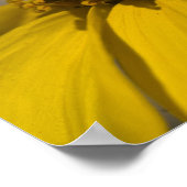 砂漠のブリットルブラシの花 ポスター (角)