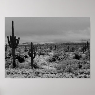 砂漠のプリントシリーズ2012の1自然雪 ポスター