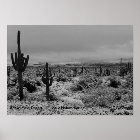 砂漠のプリントシリーズ2012の1自然雪 ポスター (正面)