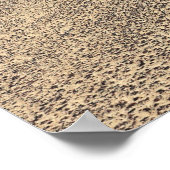 砂漠のポスターを越えた道 ポスター (角)