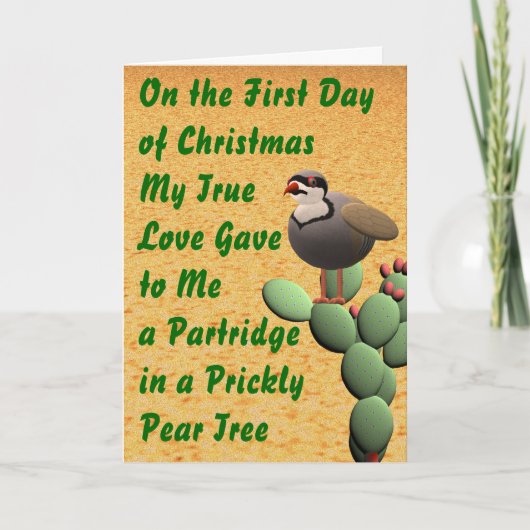 砂漠のメリークリスマス シーズンカード (正面)