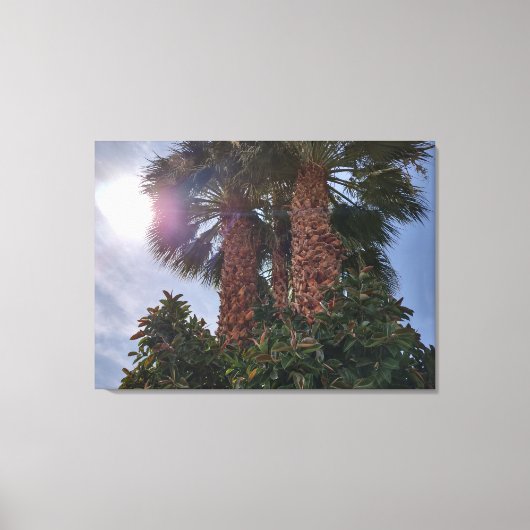 砂漠のヤシ1 キャンバスプリント (正面)