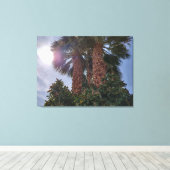 砂漠のヤシ1 キャンバスプリント (インサイチュ (ウッドフロア))