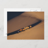 砂漠のラクダのキャラバン、トンホワン、カンスー ポストカード (正面/裏面)