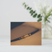 砂漠のラクダのキャラバン、トンホワン、カンスー ポストカード (スタンド正面)