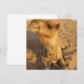 砂漠のラクダの招待状 招待状 (正面/裏面)