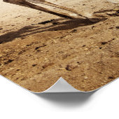 砂漠のラクダ ポスター (角)