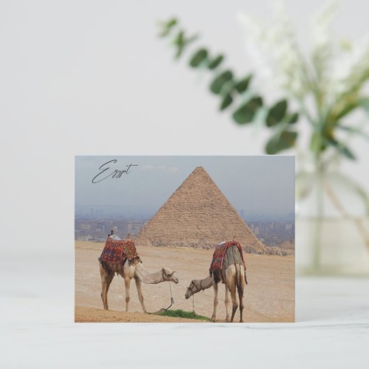 砂漠のラクダ ポストカード (スタンド正面)