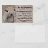 砂漠のリスの名刺のテンプレート 名刺 (正面/裏面)