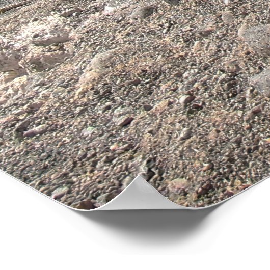 砂漠のレイヴン ポスター (角)