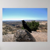 砂漠のレイヴン ポスター (正面)