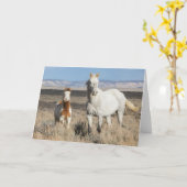 砂漠のワシの平原にいる野生の馬 カード (黄色い花)