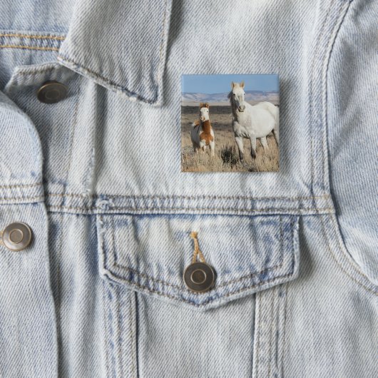 砂漠のワシントン盆地にいる野生の馬 缶バッジ (インサイチュ)
