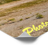 砂漠の丘 ポスター (角)