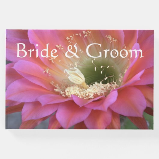 砂漠の中のピンクのサボテンの花 ゲストブック (正面)