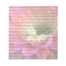 砂漠の中のピンクのサボテンの花