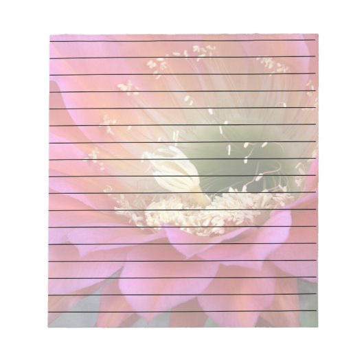 砂漠の中のピンクのサボテンの花 ノートパッド (正面)