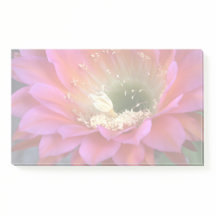 砂漠の中のピンクのサボテンの花