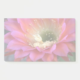 砂漠の中のピンクのサボテンの花 ポストイット