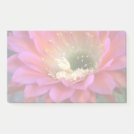 砂漠の中のピンクのサボテンの花 ポストイット (正面)