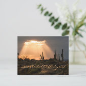 砂漠の光スコッツデール, AZ ポストカード (スタンド正面)