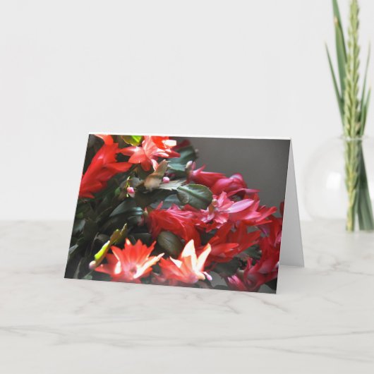 砂漠の冬も シーズンカード (正面)